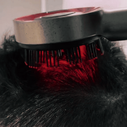 Electric Scalp Therapy Comb